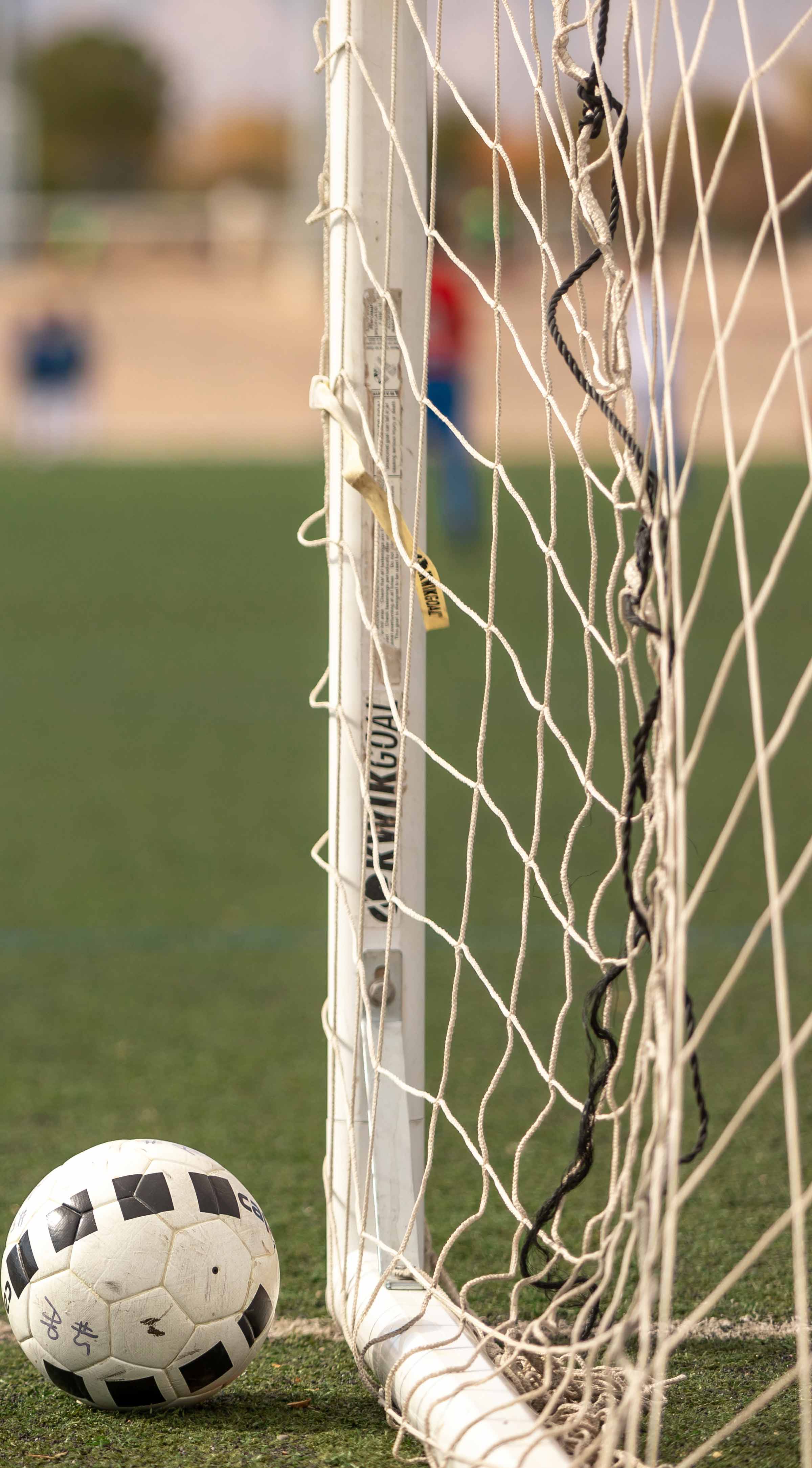 soccer ball right next to a goal